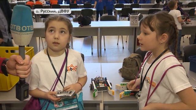 Соревнования по робототехнике проходят во Владивостоке смотреть онлайн