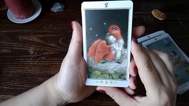 Таро Николетты Чекколи, обзор колоды / Nicoletta Ceccoli Tarot смотреть онлайн