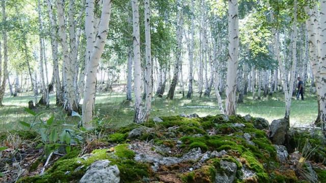 Туган ягым уйдарымда (родной край) смотреть онлайн
