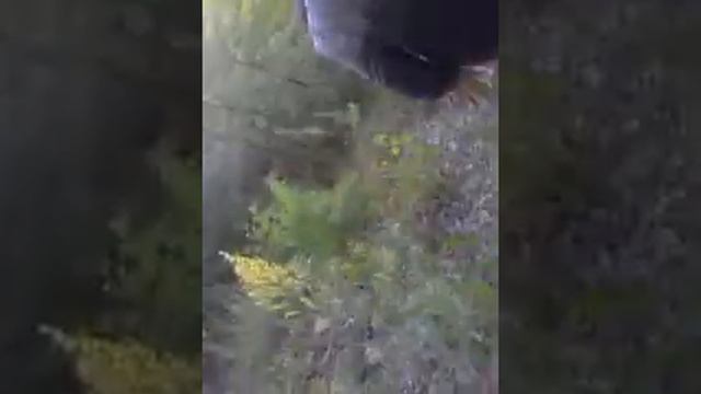 Советы как выжить при зомби апокалипсисе смотреть онлайн