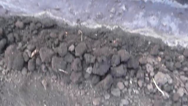 Чернушка. Сеем семена лука смотреть онлайн