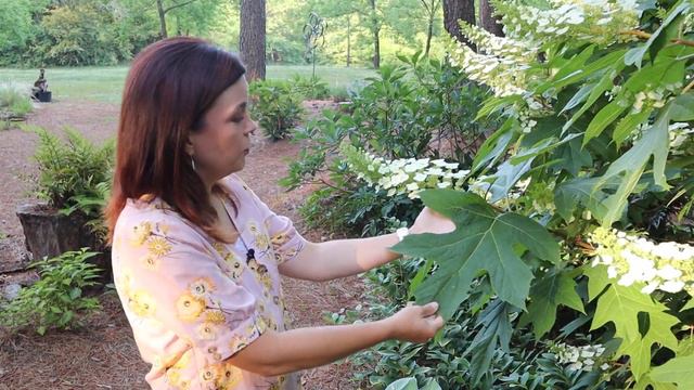 Mimi's Late Spring Garden Tour | Gardening With Creekside