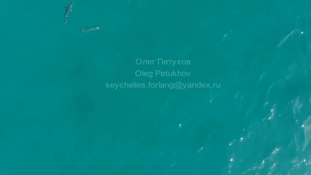 Сейшелы. Seychelles. 塞舌尔。 72