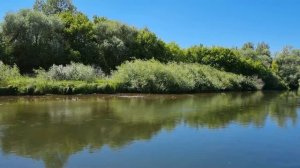 Иван - Дурак.mp4