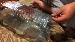 Раколовка Своими Руками Как Сделать