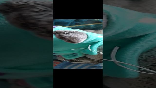 ОБЗОР на нового басика смотреть онлайн