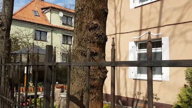 Зеленоградск апрель 2018 смотреть онлайн