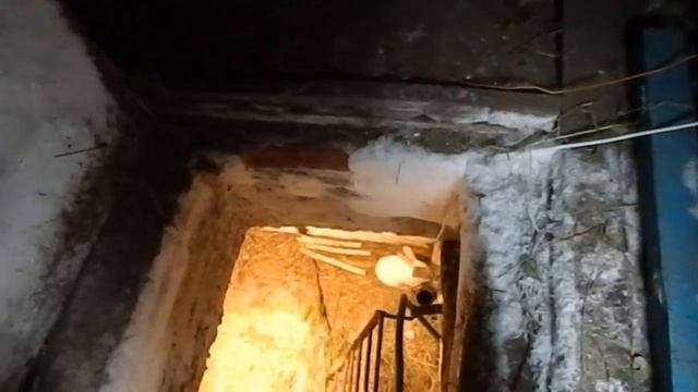 Содержание кроликов в яме Часть 3 Первый итог смотреть онлайн