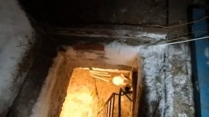 Содержание кроликов в яме Часть 3 Первый итог