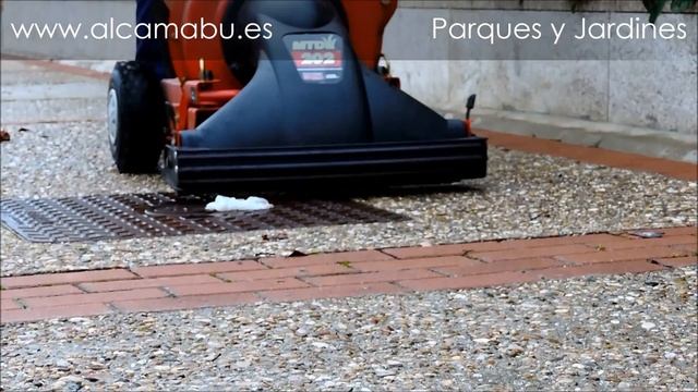 ASPIRADORA TRITURADORA MTD 202. http://alcamabu.es/ DISEÑO, CONSTRUCCIÓN Y MANTENIMIENTO DE JARDINE смотреть онлайн