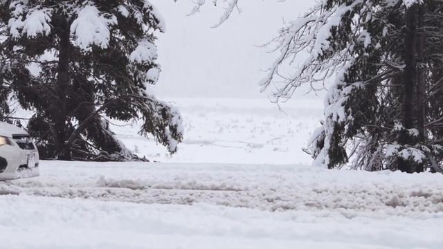 Snow Tires vs All-Seasons Tires with Subaru All-Wheel Drive смотреть онлайн