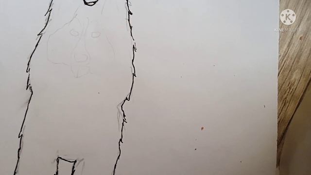 делаю туториал по бумажные собаки порода шелти смотреть онлайн