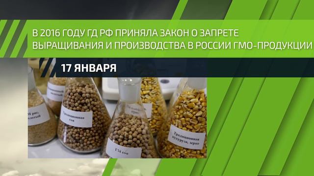 17 января — Начало испытаний генетически модифицированной пшеницы смотреть онлайн