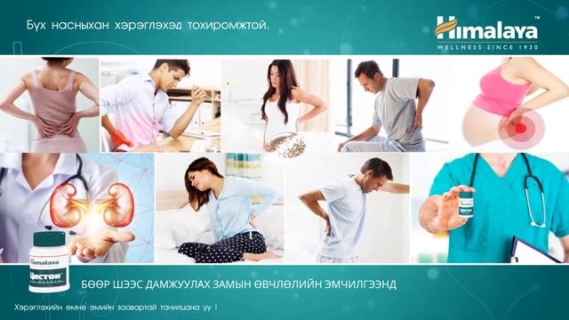 Цистон смотреть онлайн
