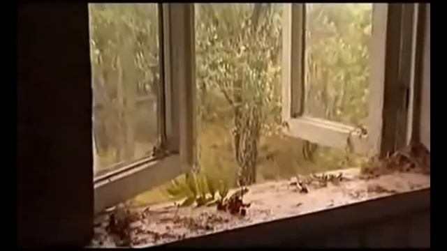 Александр Розенбаум - Очередь за хлебом # Нарисуйте мне дом смотреть онлайн