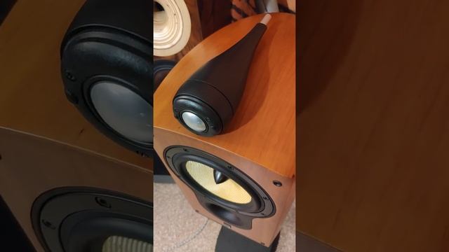 Bowers&Wilkins B&W 805s смотреть онлайн