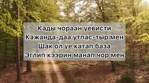 [Тыва караоке] Артыш Куулар - Шулуктер