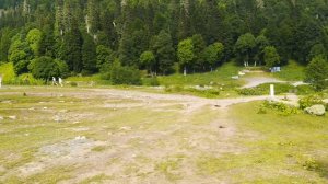 Альпийские луга, Абхазия, июнь 2023