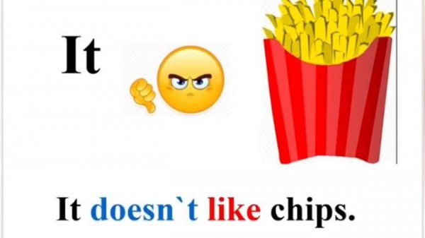 Present Simple for kids