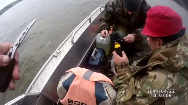 ловля судака троллингом на Ахтубе, 20-е числа апреля 2017 года смотреть онлайн