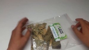 Осина кора   в чем польза коры осины?