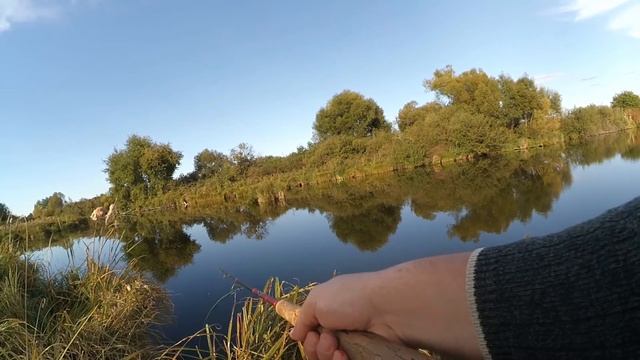 Блесны Pontoon 21 в действии.Влог.