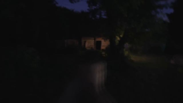 COVID -19 ZOMBIE 0 APOCALYPSE first person (pov) ZOMBIES смотреть онлайн