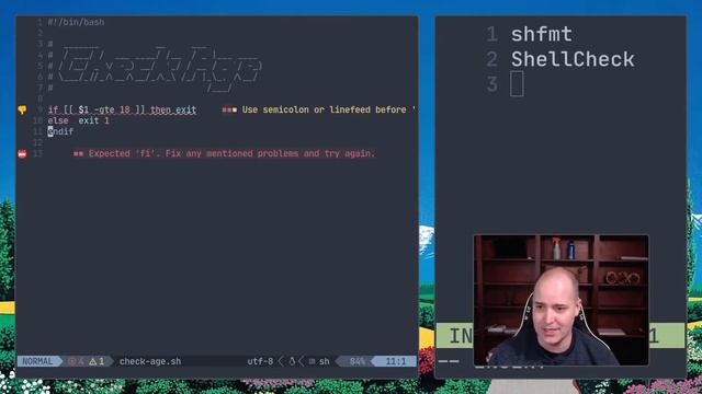 Write Better Bash Scripts! Use ShellCheck and shfmt смотреть онлайн