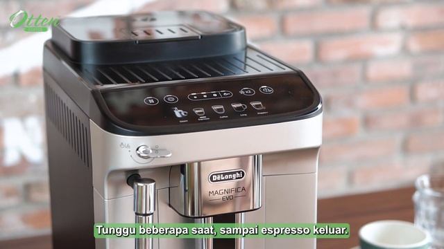 DeLonghi   Fully Automatic Magnifica EVO ECAM SB