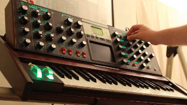 Moog Voyager :: Step Sequenced смотреть онлайн
