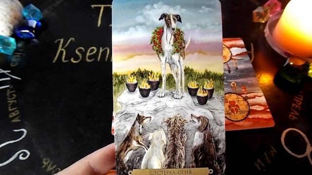 Гадание на 1 января 2022 года. Карта дня. Таро Магических собак. смотреть онлайн
