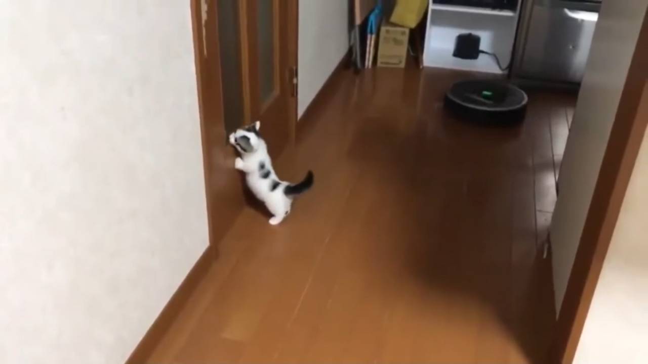 Такси вызывали? смотреть онлайн