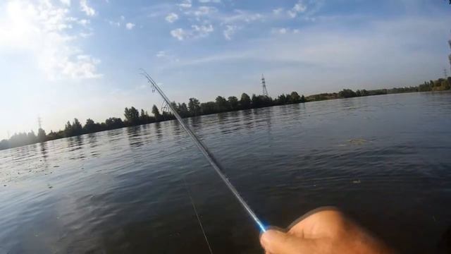 29 августа 2018 года Отводной поводок на верхней Москва реке! смотреть онлайн