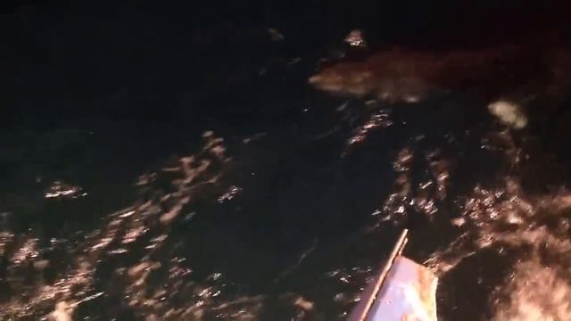 Кит в Баренцевом море, Малый полосатик.Ночь. смотреть онлайн