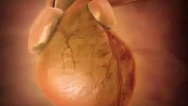 sigarety_ubivajut_[21век курить не модно].flv смотреть онлайн