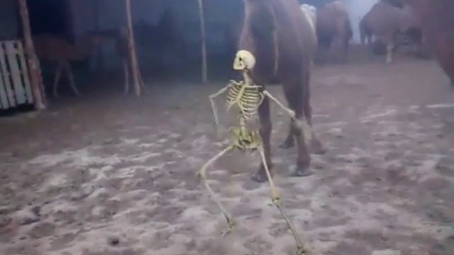 Красивые танцы смотреть онлайн