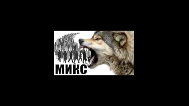✅ Мощный микс от Васи Волкособа / мошенники звонят по телефону смотреть онлайн