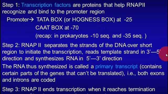 Transcription and RNA processing смотреть онлайн