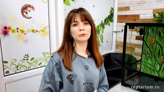 Террариум для геккона бананоеда — Обустройство и оформление смотреть онлайн