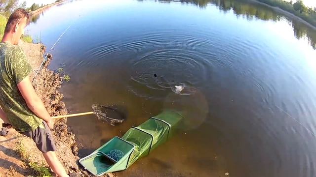 Ловля сазана на бойлы Самодельные чесночные бойлы и кукурузу с медом смотреть онлайн