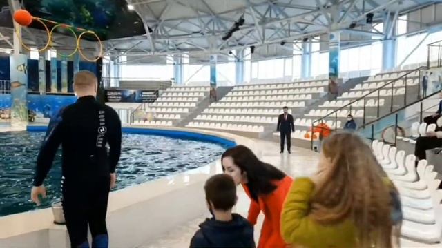 Amazing Beluga (the white whale) and Dolphins .. Ang ganda ! смотреть онлайн