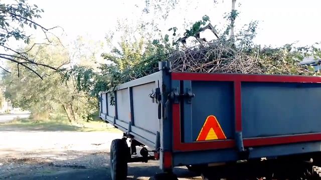 Прибираем в полисаднике//Обзор участка//Вывезли телегу мусора, травы и веток. смотреть онлайн