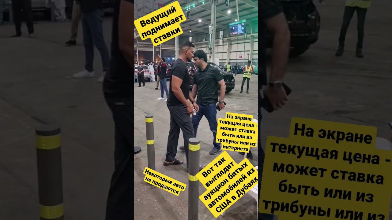 #аукциона #авто из #США в #ОАЭ #дубаи смотреть онлайн