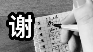 ТРИ ПРОСТЫЕ ФРАЗЫ НА КИТАЙСКОМ ЯЗЫКЕ//как сказать СПАСИБО по-китайски