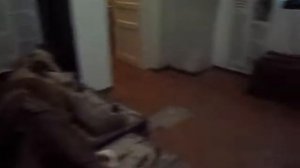 Военный музей Карельского перешейка, Выборг,6-01-2018