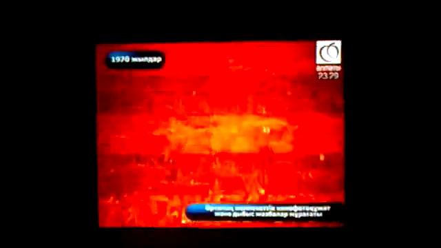 Алматы-Лиственные деревья-Которых сегодня нет!!!