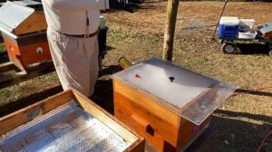 Экспериментальная обработка пчелы, сублимация щавелевой кислоты в зимний период ￼.