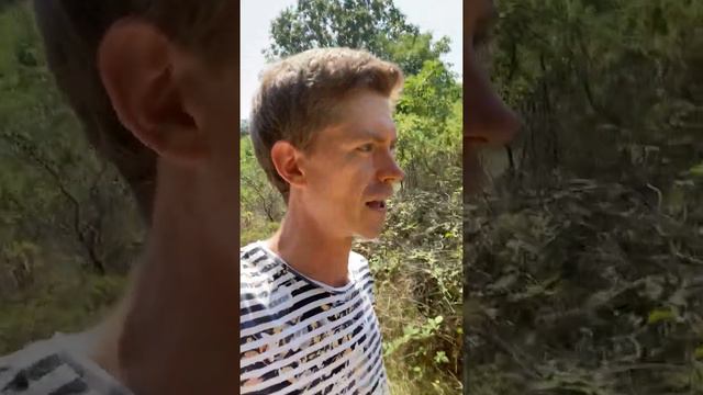 Исцеляющий символ - часть 1 смотреть онлайн