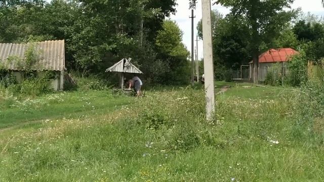 Продали не тех коров которых планировали.