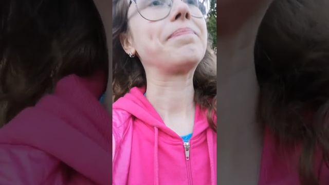 Истории и прогулка в пгт Красномайский смотреть онлайн